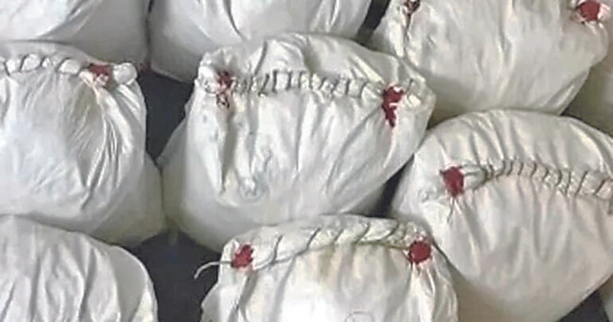 Anti Narcotics’ Cell seizes MD haul worth Rs 1,400 cr